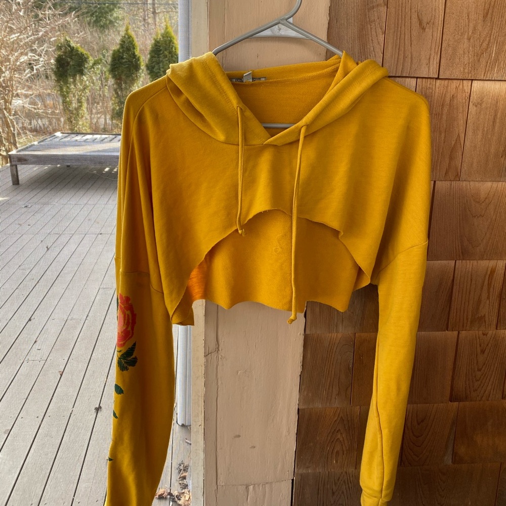 Bundle two cropped hoodies